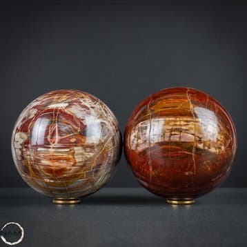 Versteend hout – fascinerende bol- Duo met natuurlijke