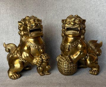 Paar Foo Dogs 21.5 cm / 4.3 kg - Brons - China