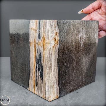 Versteend hout kubus – natuurkunst uit miljoenen jaren