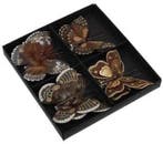 Vlinders Bruin tinten met clip 8 cm pak 8 stuks, Nieuw