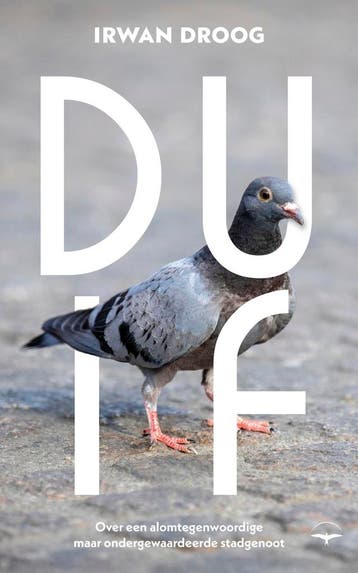 Duif 9789400412934 Irwan Droog, Verzenden, Gelezen, Irwan Droog