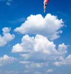 Bess Irissa - The Swimmer #14 - XL