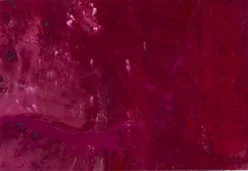 Anton Kaestner - #441 - S -  Purple Red .