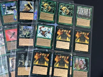 Wizards of The Coast - 54 Card - Magic: The Gathering Lot 54, Nieuw