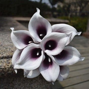 Calla Real Touch Plum Center 7 cm 37 cm lang per stuk, Huis en Inrichting, Nieuw