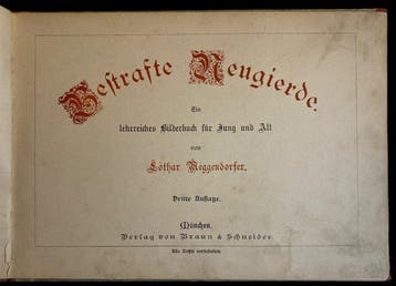 Lothar Meggendorfer - Bestrafte Neugierde. Ein lehrreiches