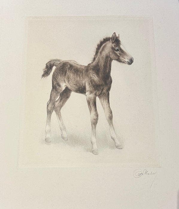 Kurt Meyer-Eberhardt (1895-1977) - 5 Radierungen: Junges, Antiek en Kunst, Antiek | Overige Antiek