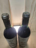 1993 & 1994 Marques de Riscal - Rioja Reserva - 2 Flessen