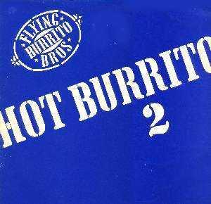 The Flying Burrito Bros - Hot Burrito 2, Cd's en Dvd's, Vinyl | Rock, Verzenden, Gebruikt