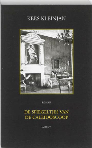 De Spiegeltjes van de Caleidoscoop 9789059118331 K. Kleinjan, Verzenden, Gelezen, K. Kleinjan