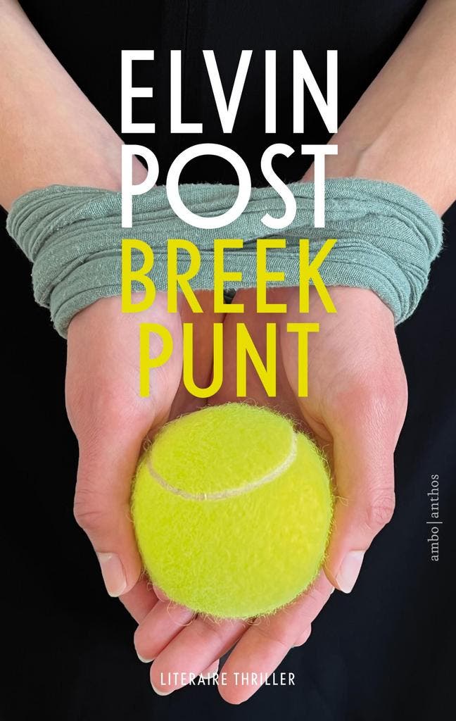 Breekpunt 9789026358050 Elvin Post, Boeken, Thrillers, Zo goed als nieuw, Verzenden