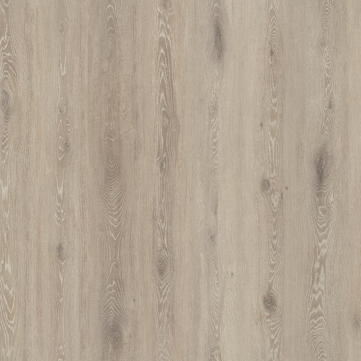 OPPIO EIKEN LICHT GRIJS XL / BREED 8mm Laminaat + GRATIS, Bricolage & Construction, Planches & Dalles, Enlèvement ou Envoi