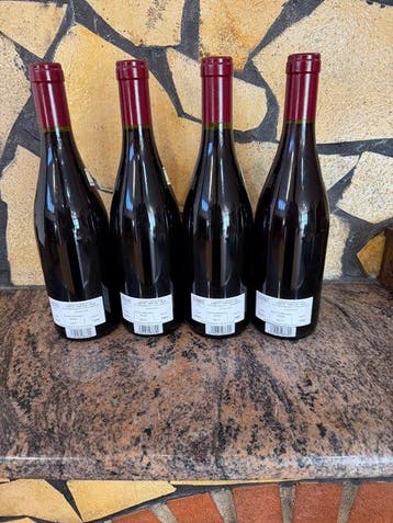 2023 Domaine Sérafin - Gevrey Chambertin - 4 Flessen (0.75, Verzamelen, Nieuw