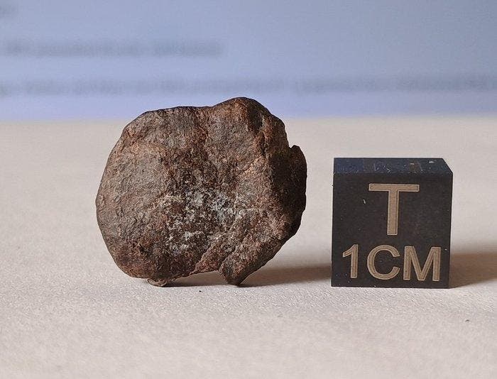 Catalina 500 - steenijzermeteoriet mesosideriet uit Chili -, Verzamelen, Mineralen en Fossielen