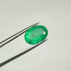 1 pcs Vert Émeraude - 3.00 ct - International Gemological, Nieuw