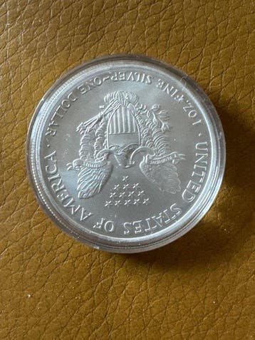 Verenigde Staten. 1 Dollar 2007 - American Eagle -