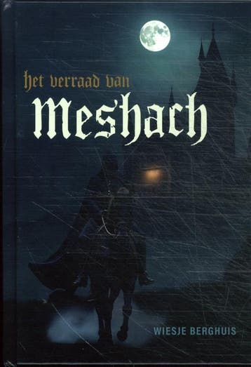 Het verraad van Meshach 9789083506609 Wiesje Berghuis, Verzenden, Zo goed als nieuw, Wiesje Berghuis