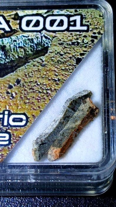 Amgala 001, Laâyoune 002 Marsiaan en Lunair - 1.3 g - (2), Collections, Minéraux & Fossiles