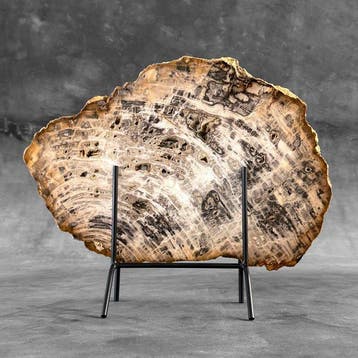 C - Belle tranche de bois pétrifié sur un support sur mesure