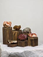 Collection de minéraux sur des présentoirs en bois Cristal-