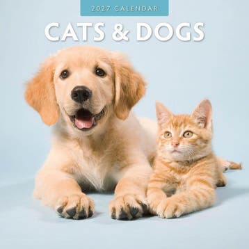 Red Robin Wall Kalender 2027 - Cats & Dogs, Ophalen of Verzenden, Nieuw in verpakking