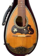 Suzuki Violin Co., Ltd. - No.208 (1963) - - Mandoline -