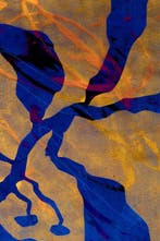 Lupo - Urban Jungle 399 - Certificated - Real Gold - XXL