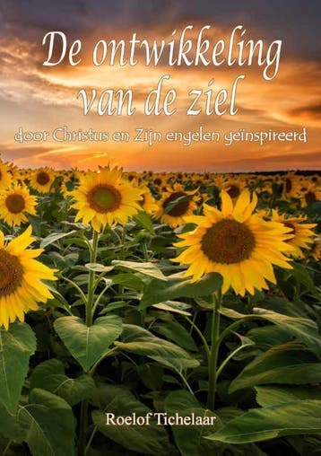 De Ontwikkeling van de Ziel - Roelof Tichelaar boek, Verzenden, Gelezen, Roelof Tichelaar