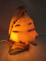 Tafellamp - Nautilus Pompilius - Cefalopode - Slak -