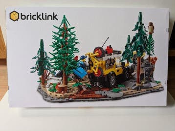 Lego Set - 910056 - Custom Item, BrickLink Designer Program, Nieuw