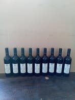 2007 Castello di Gabiano Corte - Piedmont DOC - 9, Nieuw