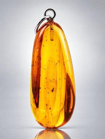 Rijke gouden barnsteenhanger – Gedetailleerde oude