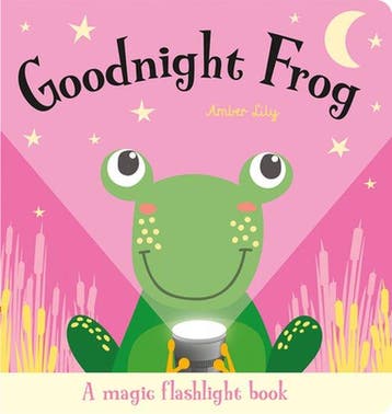 Magic Flashlight Books- Goodnight Frog 9781801050616, Verzenden, Gelezen, Amber Lily