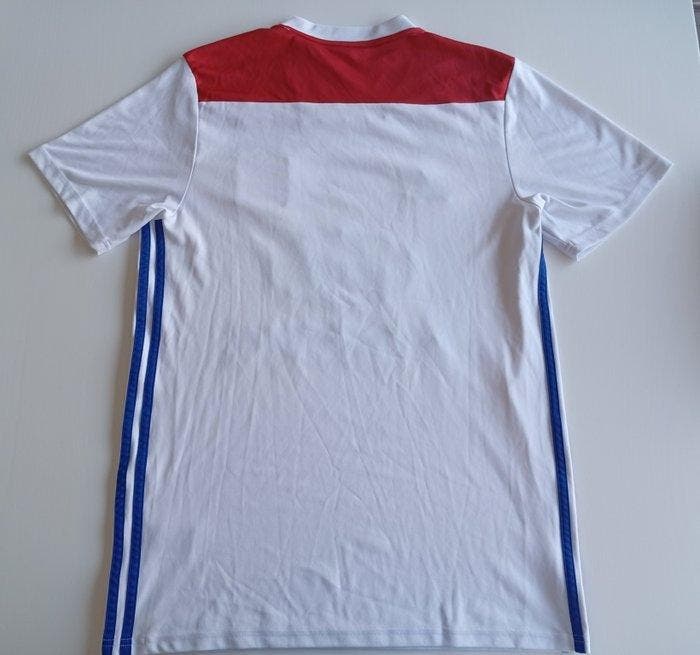 Olympique Lyonnais - 2017 - Voetbalshirt, Collections, Collections Autre