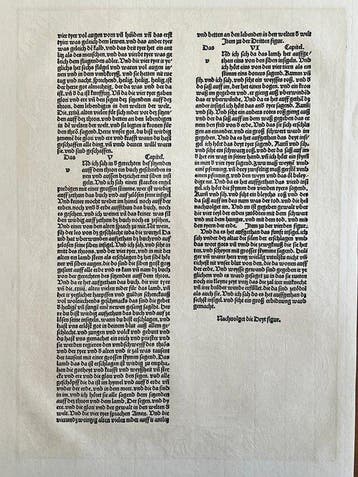 Albrecht Dürer (1471-1528), after - Woodcut - Apocalypsis