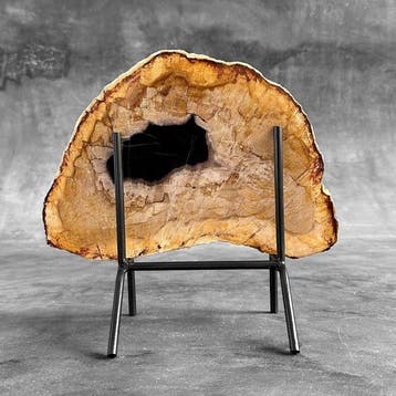 Prachtige plak versteend hout op een op maat gemaakte