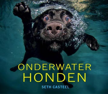 Onderwaterhonden 9789089753908 Seth Casteel, Verzenden, Gelezen, Seth Casteel