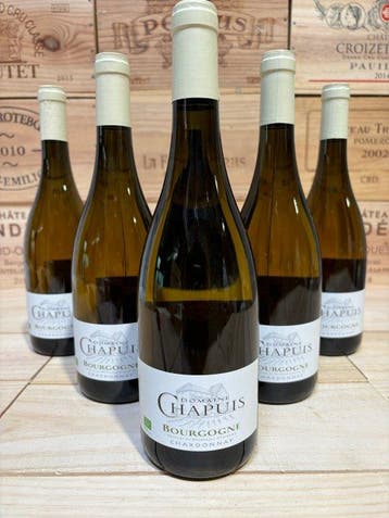 2021 Domaine Chapuis - Bourgogne - 6 Flessen (0.75 liter), Nieuw