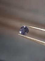 Natural Iolite - 0.220 ct - round - unheated - bluish violet, Verzenden, Nieuw