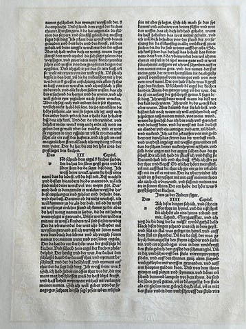 Albrecht Dürer (1471-1528), after - Apocalypsis cum Figuris