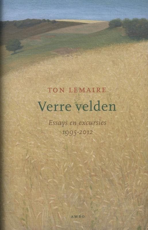 Verre velden 9789026326370 Ton Lemaire, Livres, Philosophie, Envoi