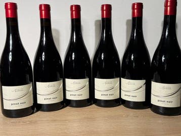2023 Kellerei Cantina Andrian Pinot Noir - Alto Adige DOC -