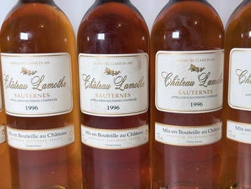 1996 Château Lamothe - Sauternes Grand Cru Classé - 6