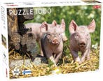 Puzzel Piglets (Biggetjes) 1000 Stukjes, Verzenden, Nieuw