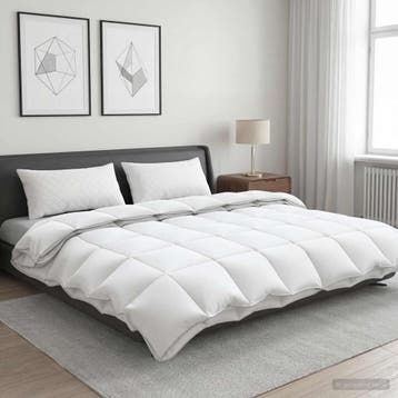 vidaXL Dekbed FULDA 220 x 240 cm 4 seizoenen 310 GSM 90%, Verzenden
