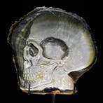 Intricaat gesneden parelmoer schelp - menselijk