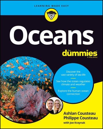 Oceans For Dummies 9781119654438 Ashlan Cousteau, Livres, Verzenden, Ashlan Cousteau