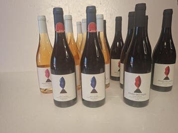 2019 x6 Etna Rosso, 2019 x6 Etna Rosato & 2016 x2 Vigna, Verzamelen, Nieuw