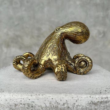 Beeld, No Reserve Price - A Octopus Sculpture in Polished