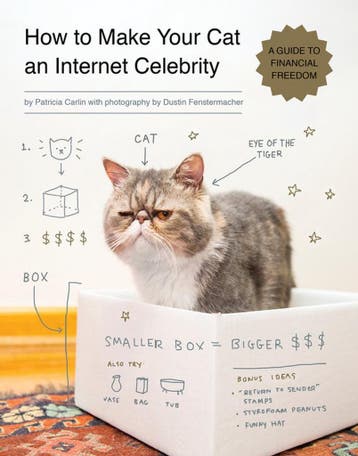 How to Make Your Cat an Internet Celebrity 9781594746796, Verzenden, Zo goed als nieuw, Patricia Carlin
